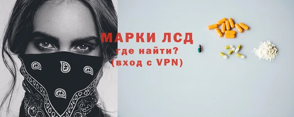 стафф Вяземский