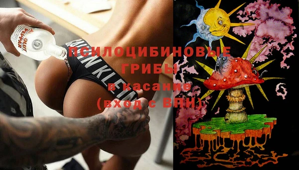 стафф Вяземский