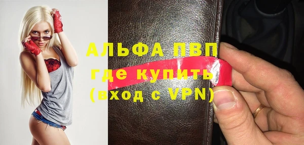 стафф Вяземский