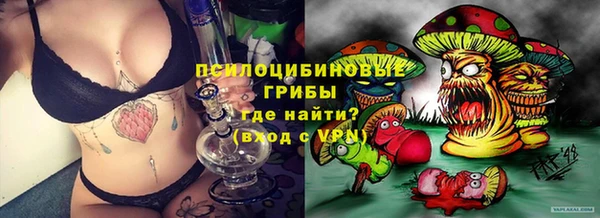 гашик Горно-Алтайск